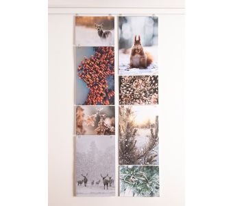 STAS picture hits - transparent clips for hanging pictures