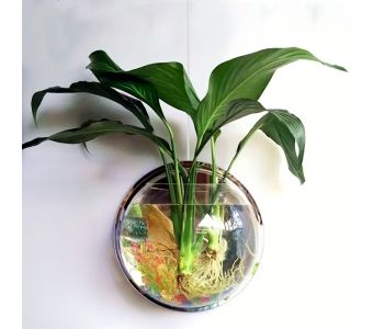 12.8 Inch Round Transparent Wall Hanging Bowl with Artificial Water Rocks and Plants