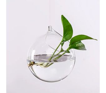 3.94-Inch Hanging Glass Planter for Hydroponic Plants