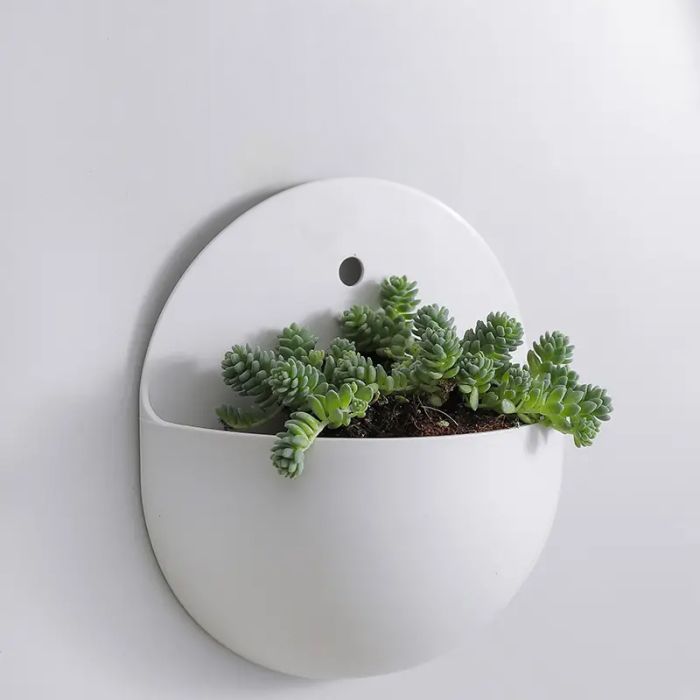 Wall-Hanging Hydroponic Vase for Elegant Home Garden Decor