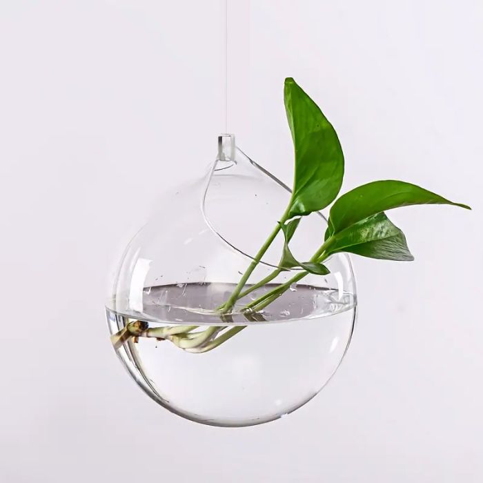 3.94-Inch Hanging Glass Planter for Hydroponic Plants